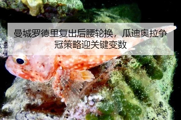 man-cheng-luo-de-li-fu-chu-hou-yao-lun-huan-gua-di-ao-la-zheng-guan-ce-lve-ying-guan-jian-bian-shu-3-845.jpg